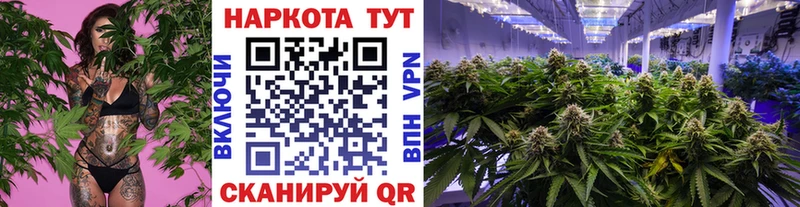 Все наркотики Ельня Вейп ТГК  A-PVP  Гашиш  Конопля 