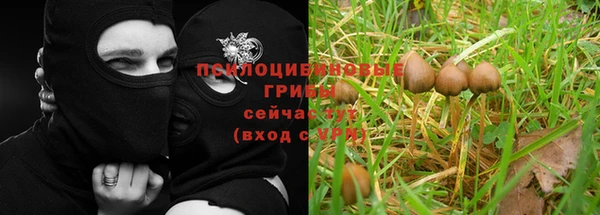 не бодяженный Армянск