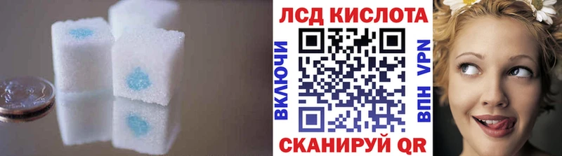 ссылка на мегу ссылка дарк нет какой сайт Лсд 25 экстази кислота Ельня