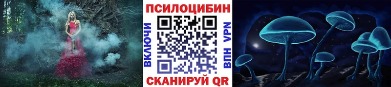 Псилоцибиновые грибы Cubensis  Ельня 